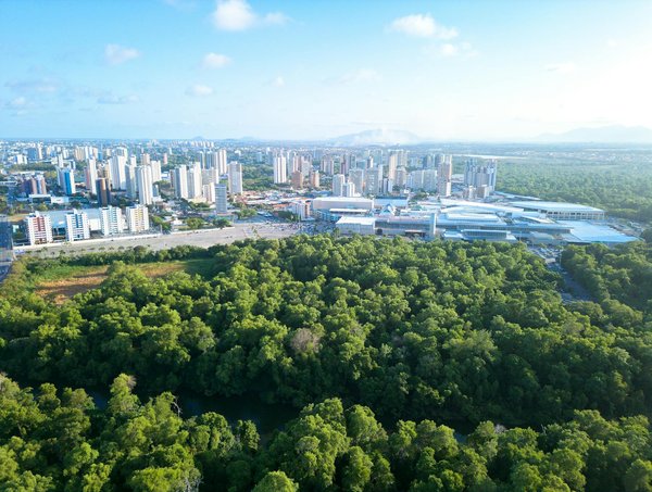 La Country Music à Travers les Âges : Une Histoire en Chansons